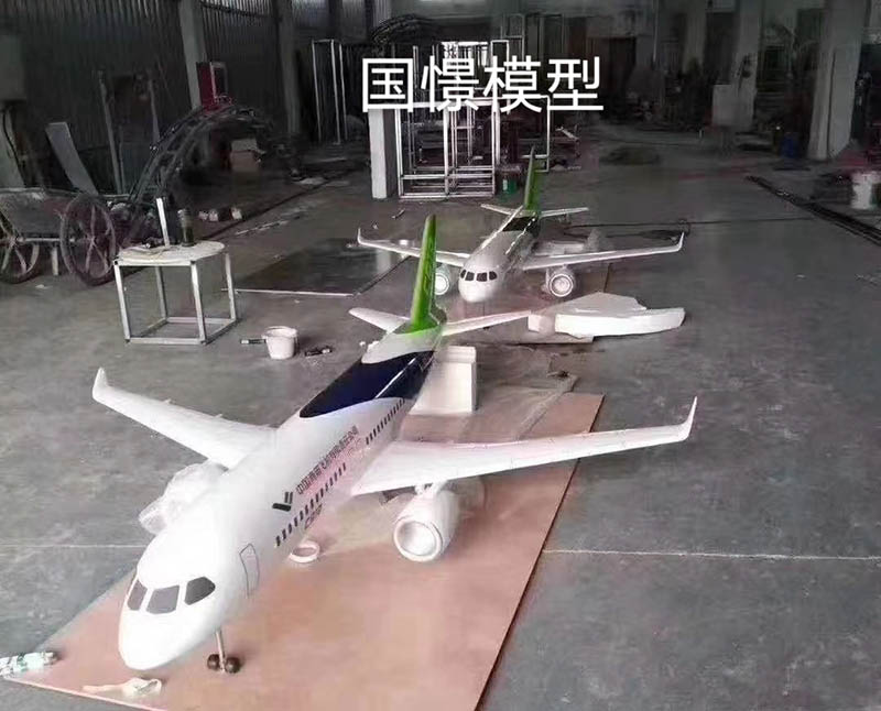 清河县飞机模型